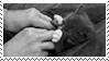 monochrome kitty stamp